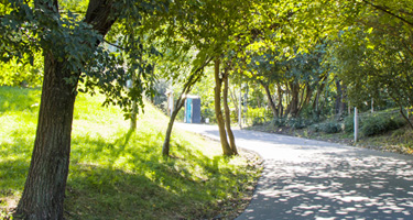 A peaceful, sun-dappled path winds through a lush green forest, inviting a relaxing stroll.