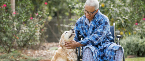 Senior man in bathrobe and pajamas in a wheelchair outside petting a yellow labrador retriever dog