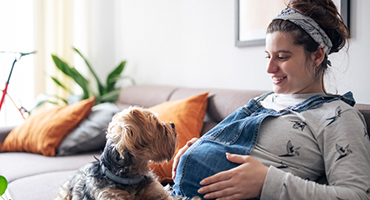 pregnant woman in armchair with dog, holding her belly
